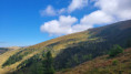 /album/fotogalerie-sommer/ouo-koralpe-0012025-jpg1/